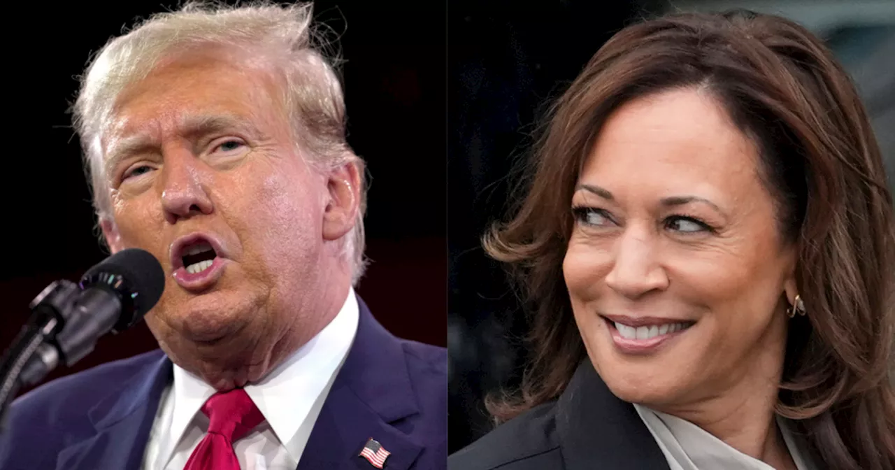 Poll: San Diego County voters leaning Harris over Trump as Election Day looms