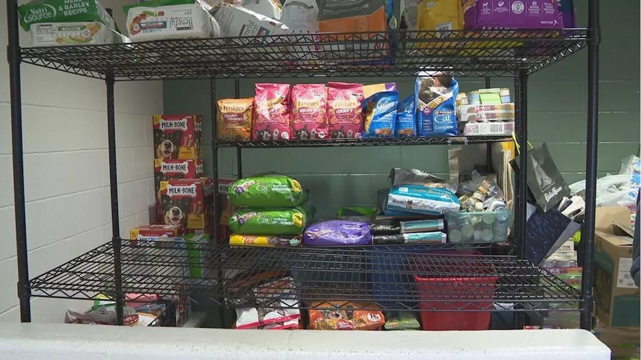 Lollypop Farm in need of community's help restocking Community Pet Pantry