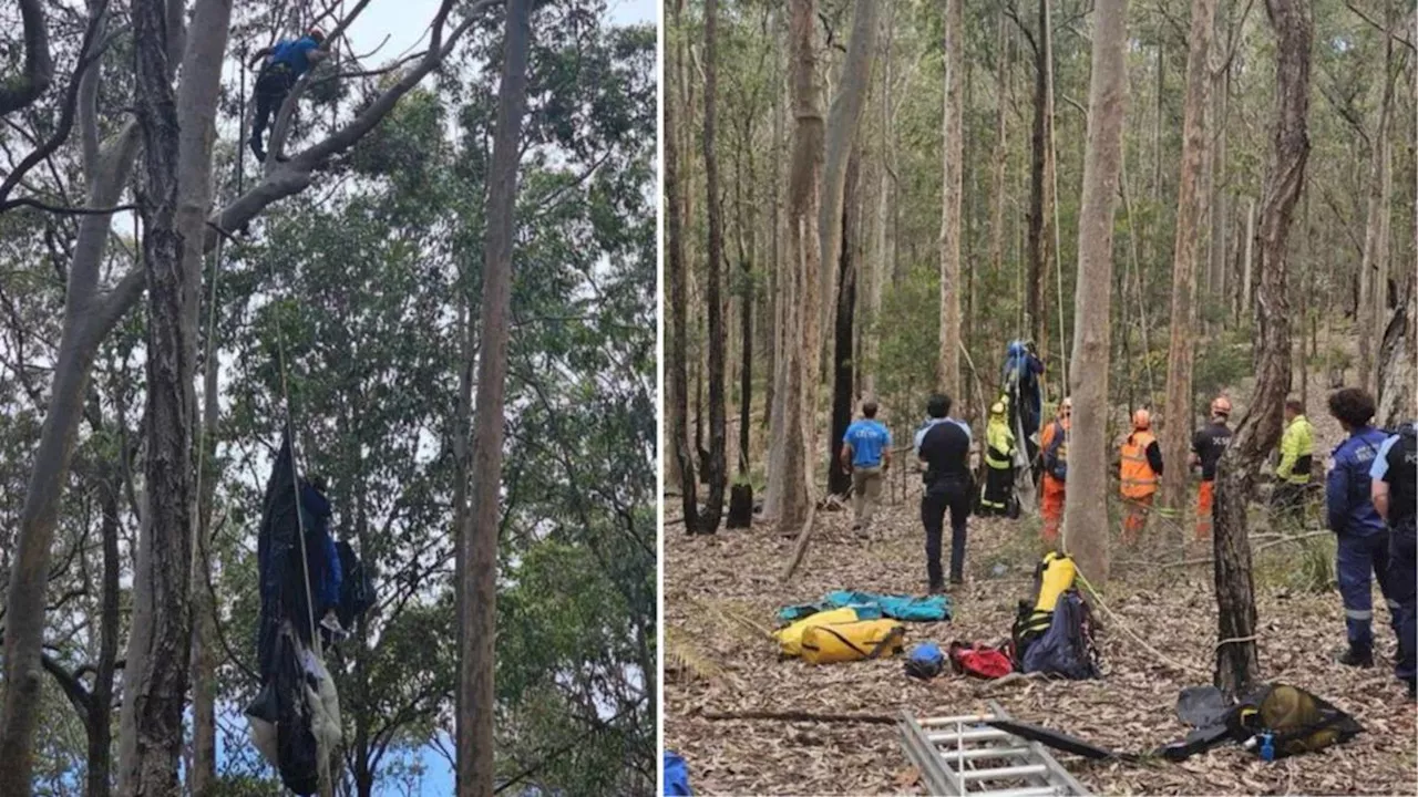 Skydiver stuck for hours after landing upside-down in tree on NSW South Coast