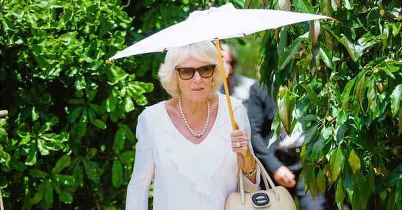 A Perth mum and daughter made a parasol fit for a Queen. It changed their lives