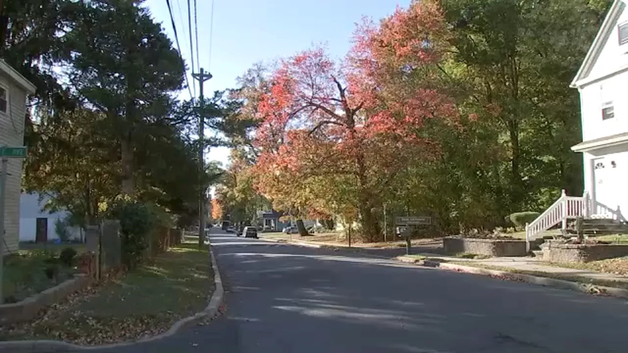 12-year-old boy dies after tree falls on him while playing in New Jersey backyard