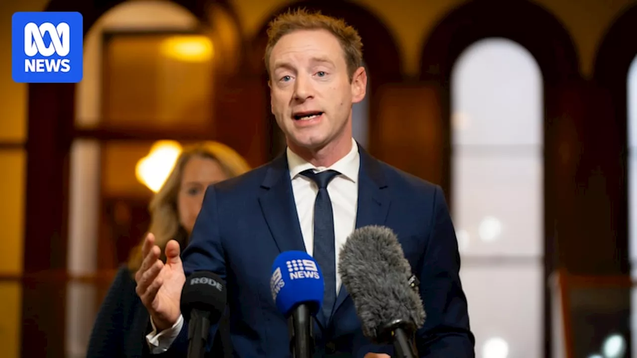 David Speirs formally quits SA parliament days after police said former Liberal leader was facing drug charges