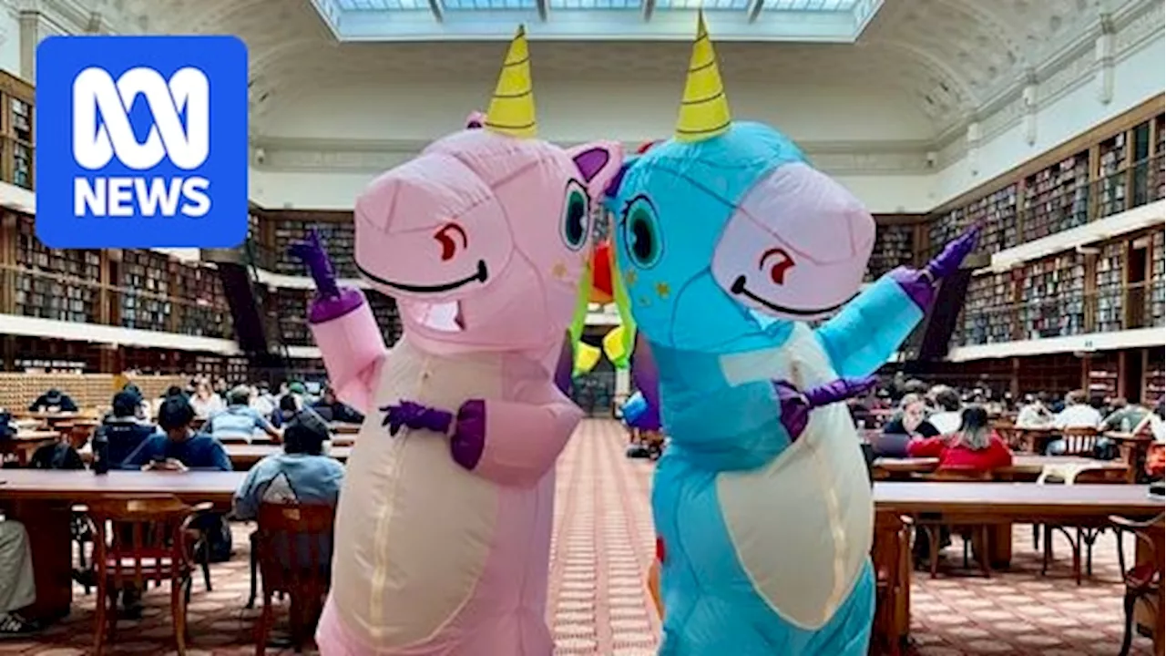 'Study unicorns' offered at Sydney library for year 12 students, amid HSC exams in NSW