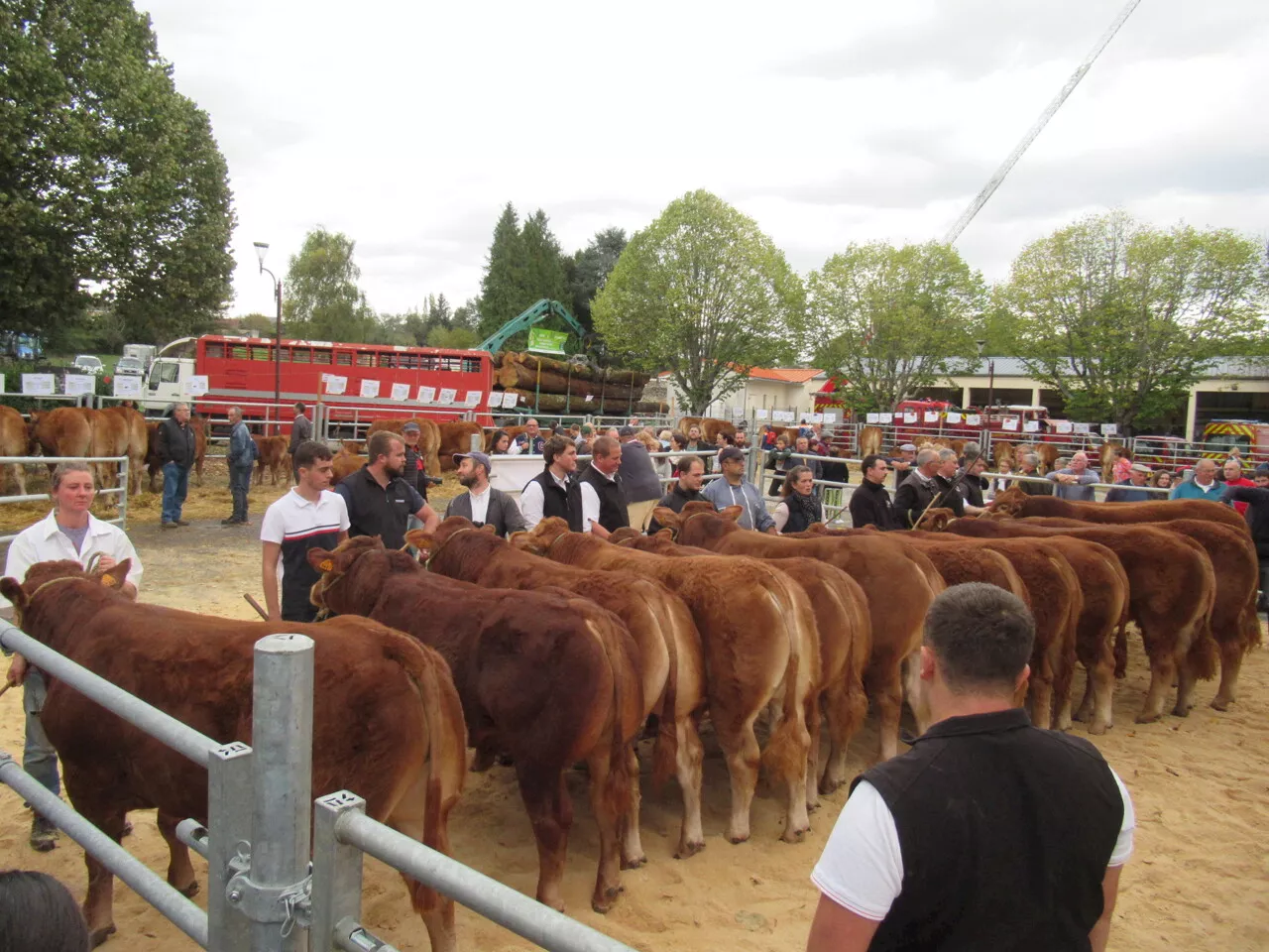 Dordogne. L'enthousiasme perdure pour le bicentenaire du comice agricole