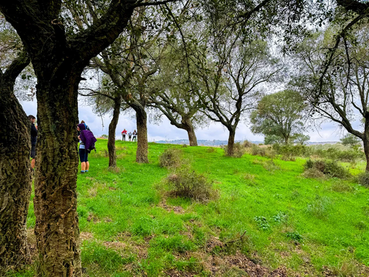 Sardegna 'lenta', sulle orme di San Giorgio Vescovo