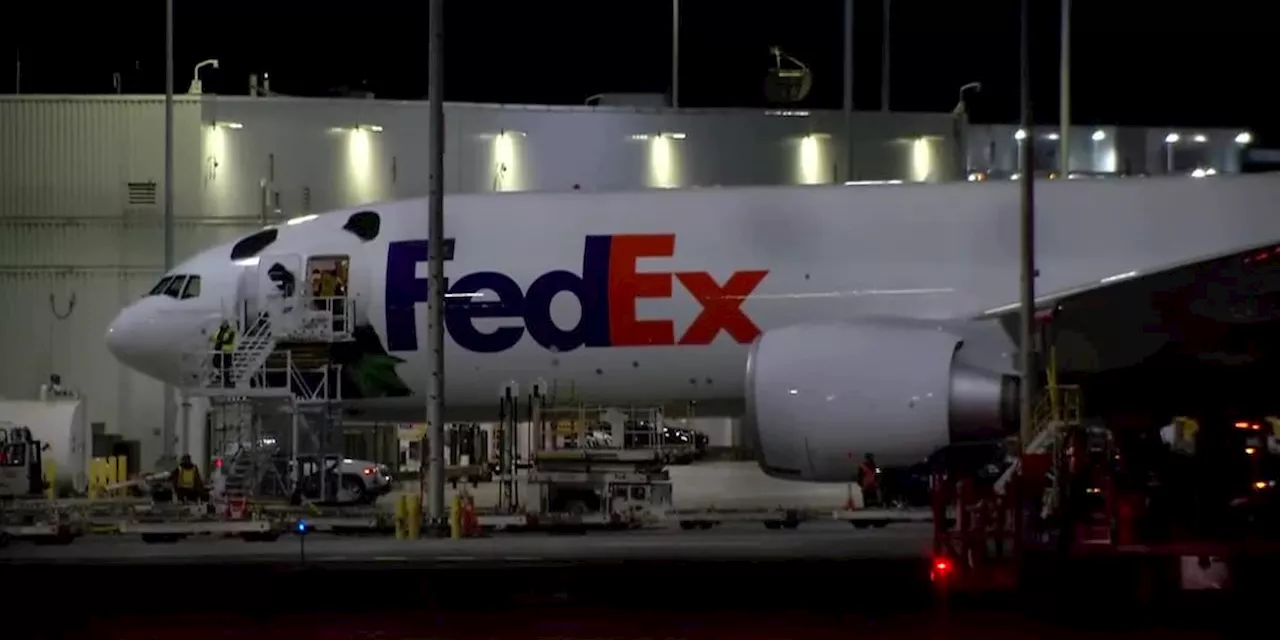 FedEx Boeing 777 stops in Anchorage, carrying 2 Chinese pandas to D.C.