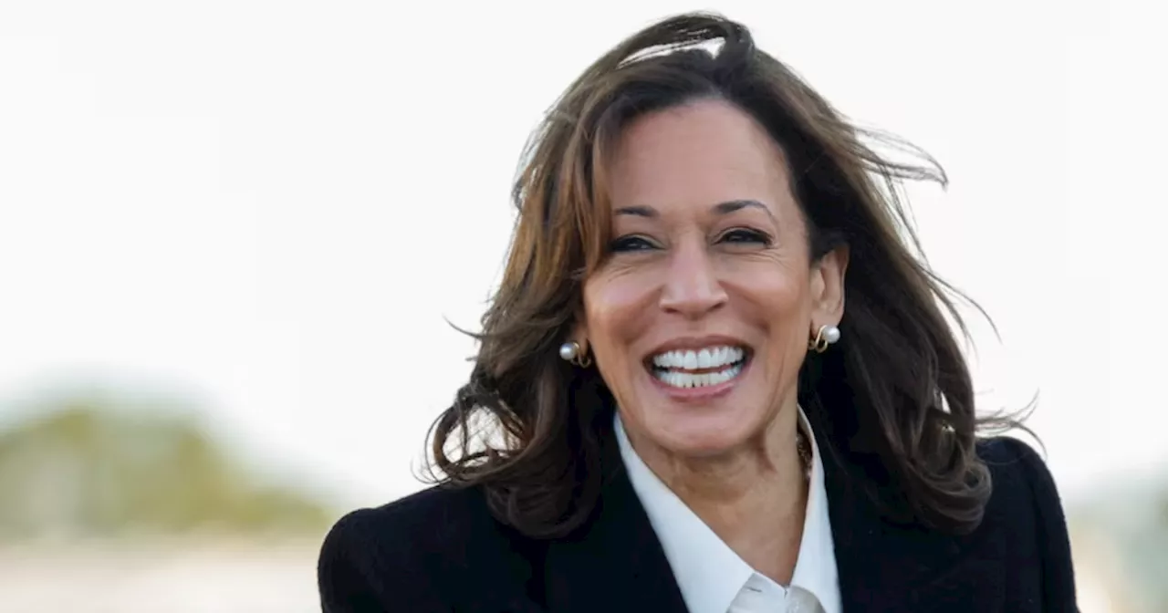 Kamala Harris could join Joe Rogan podcast in hunt for male votes, sources say