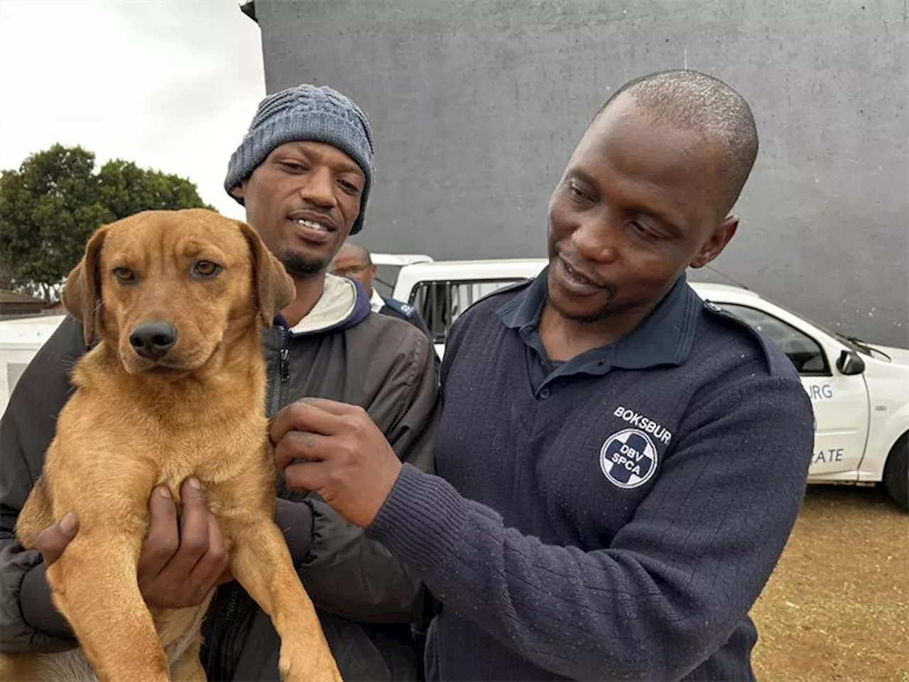 Meet the SPCA’s new trainee inspector