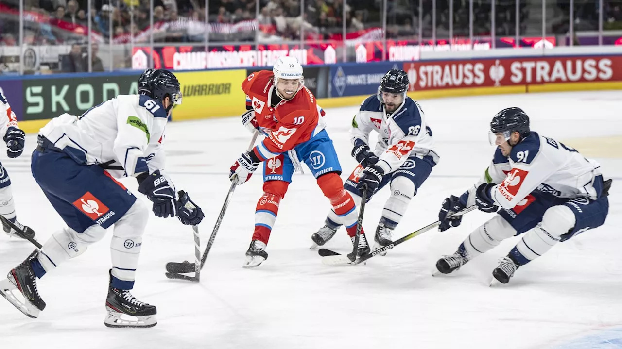 Straubing Tigers kämpfen um Playoffs in der Champions League