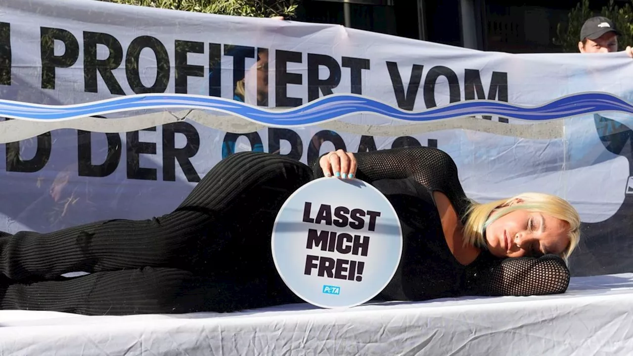 Sarah Connor: Aufsehenerregender Protest für Orcas in Berlin