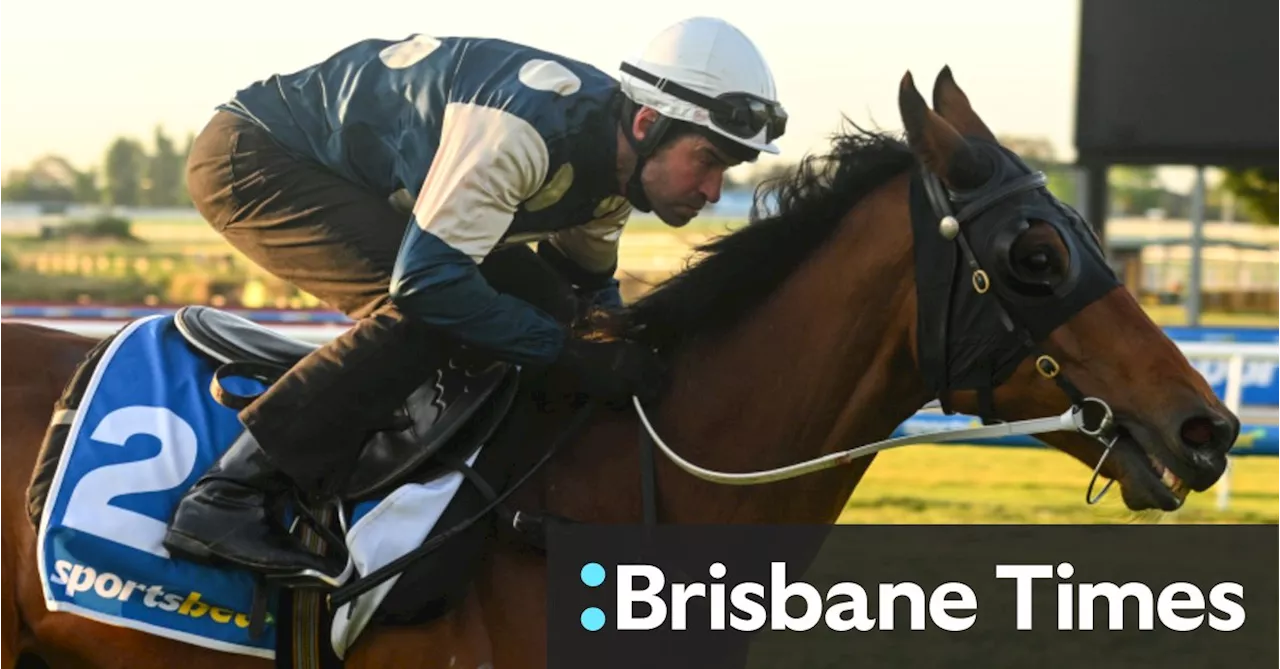 Caulfield Cup: Final field, barrier draw and last word from trainers