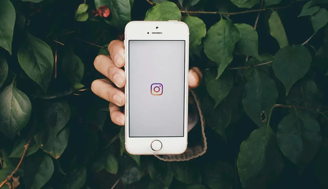 Instagram no funciona: cómo comprobar que el servicio está caído