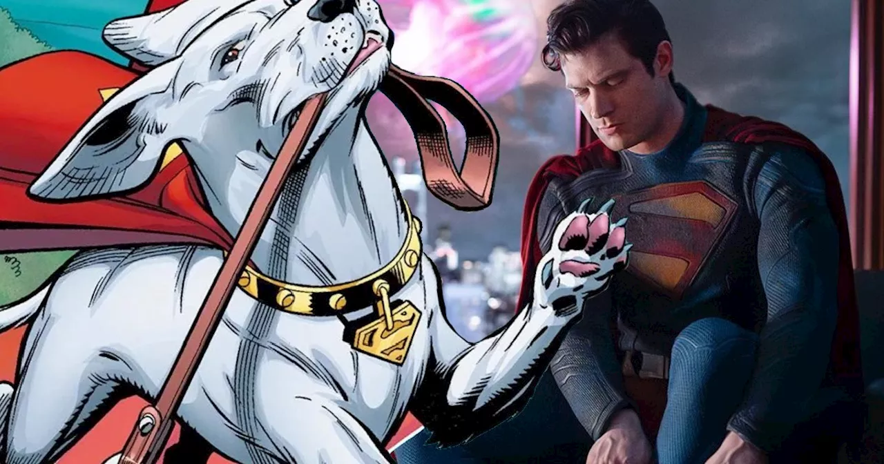 Superman’s James Gunn Reveals First Look at the DCU’s Krypto the Superdog