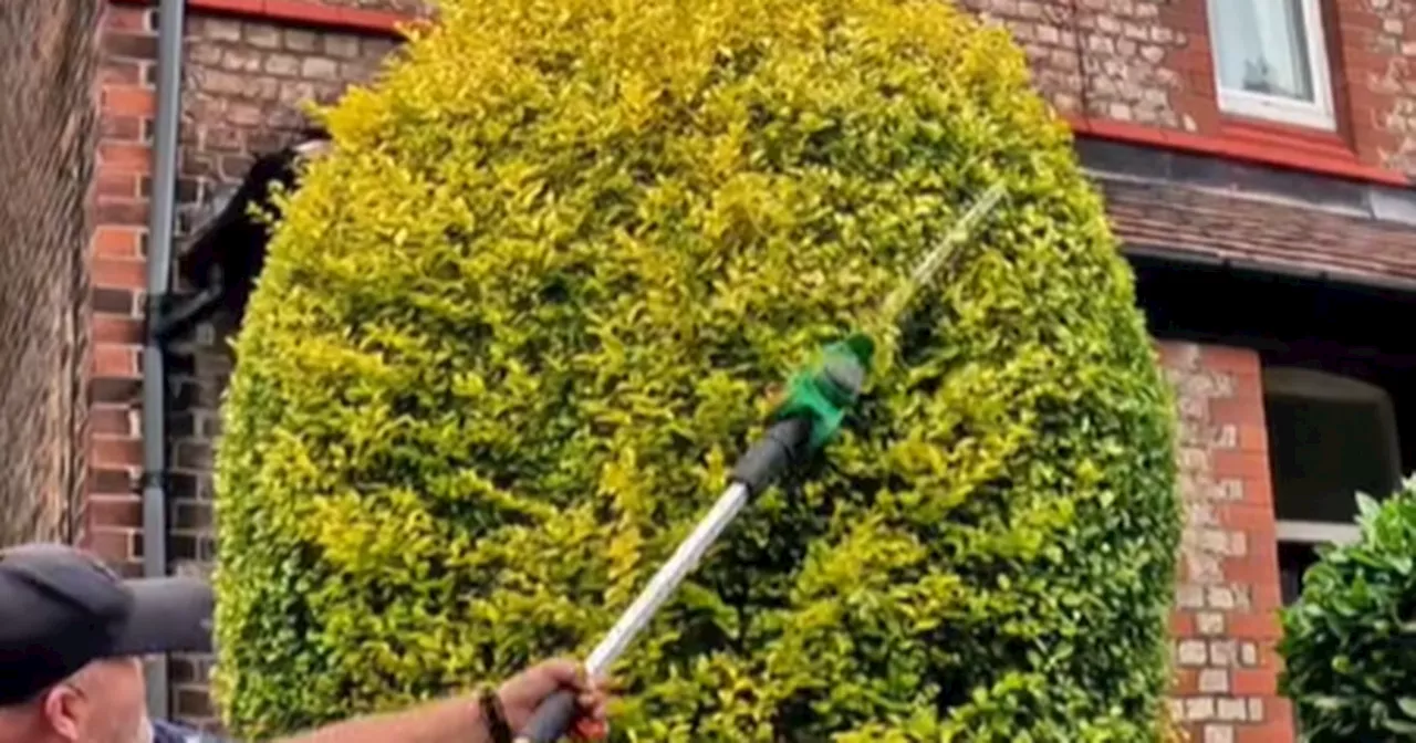 Disabled man told easy garden job will cost £800 – but then gets huge surprise