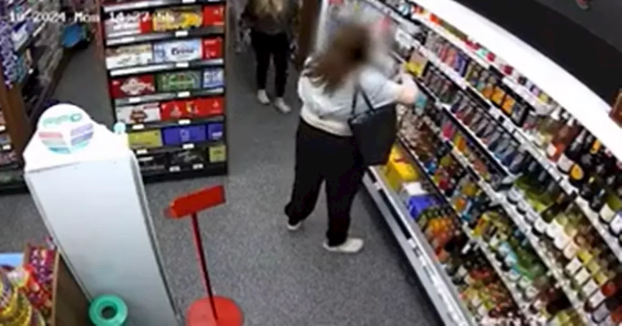 Edinburgh shop staff terrified as gang raid store after girl 'acts as decoy'