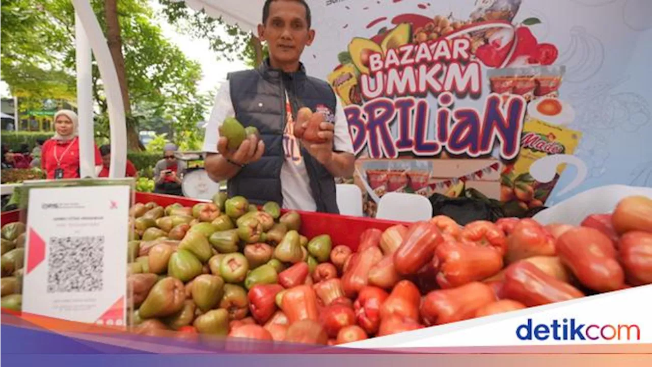 Bisa Panen hingga 3 Ton, Petani Jambu Citra di Kudus Terbantu KUR BRI