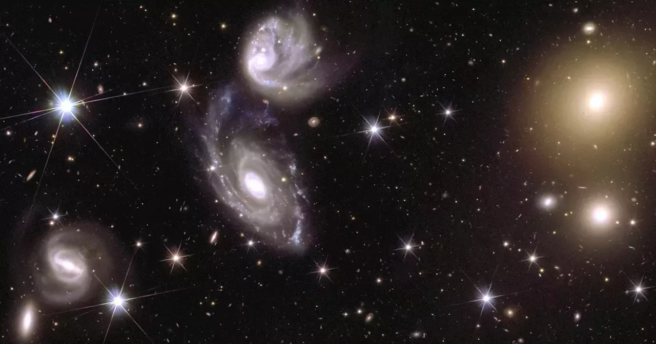 See The Stunning Sights Of The Euclid Telescope’s 208-gigapixel Cosmic ...