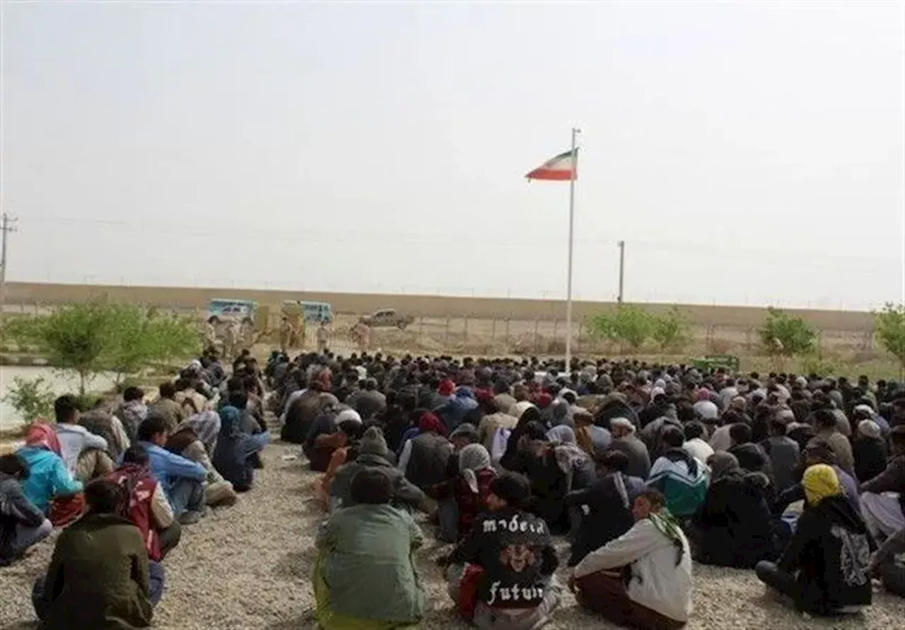 اجاره زمین‌های کشاورزی آستان امام خمینی به مهاجران افغان!