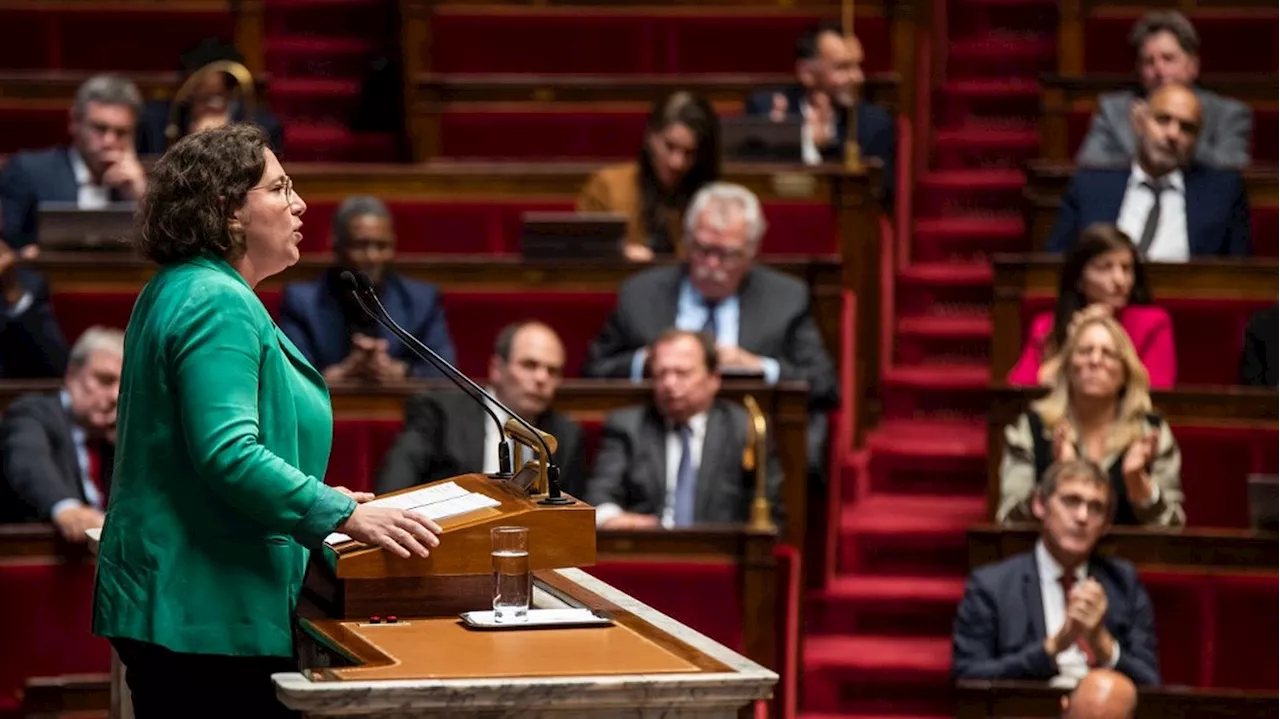 Assemblée nationale : le groupe écologiste propose aux autres groupes du Nouveau Front populaire de renforcer