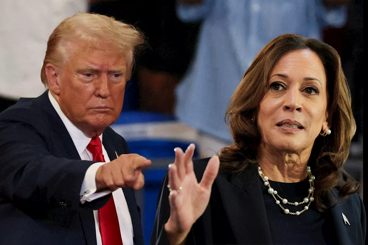 Harris holds steady, marginal 45%-42% lead over Trump, Reuters/Ipsos poll finds