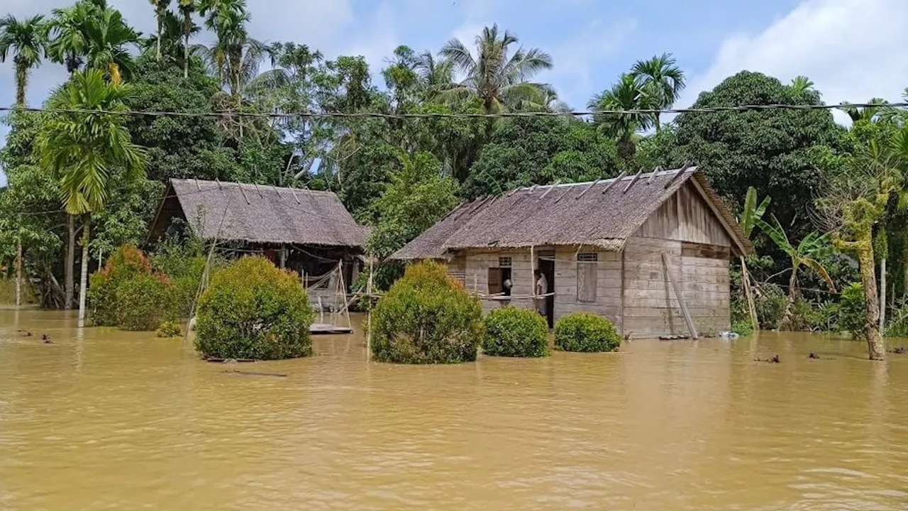 Banjir Rendam Ratusan Rumah di Kepulauan Mentawai