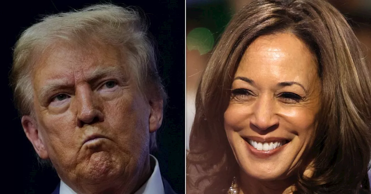 Trump Has Ridiculous Freakout Over 'Dangerous' Detail In Harris' Medical Report