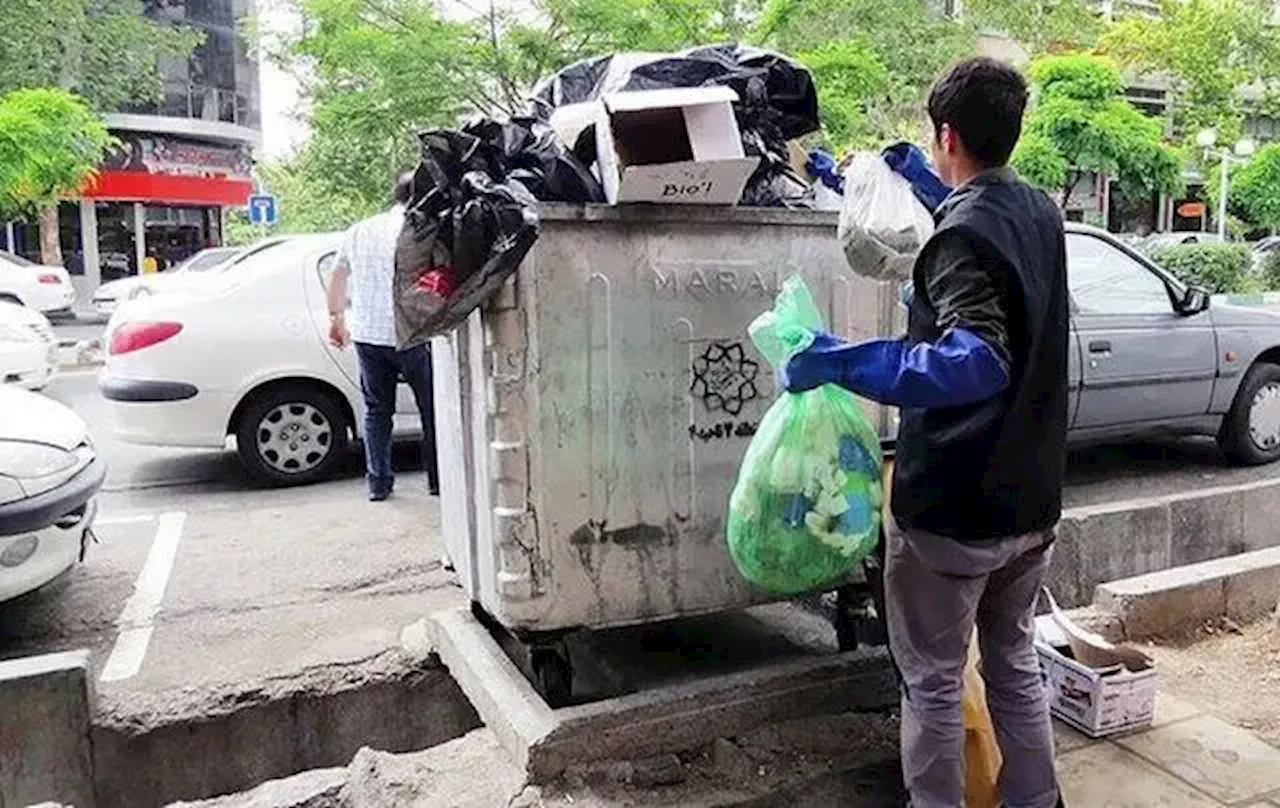 شناسایی ۶ هزار زباله‌گرد در تهران