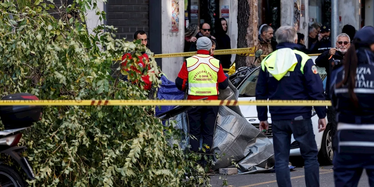 L’indagine sui dipendenti del comune di Roma per il crollo di oltre 600 alberi