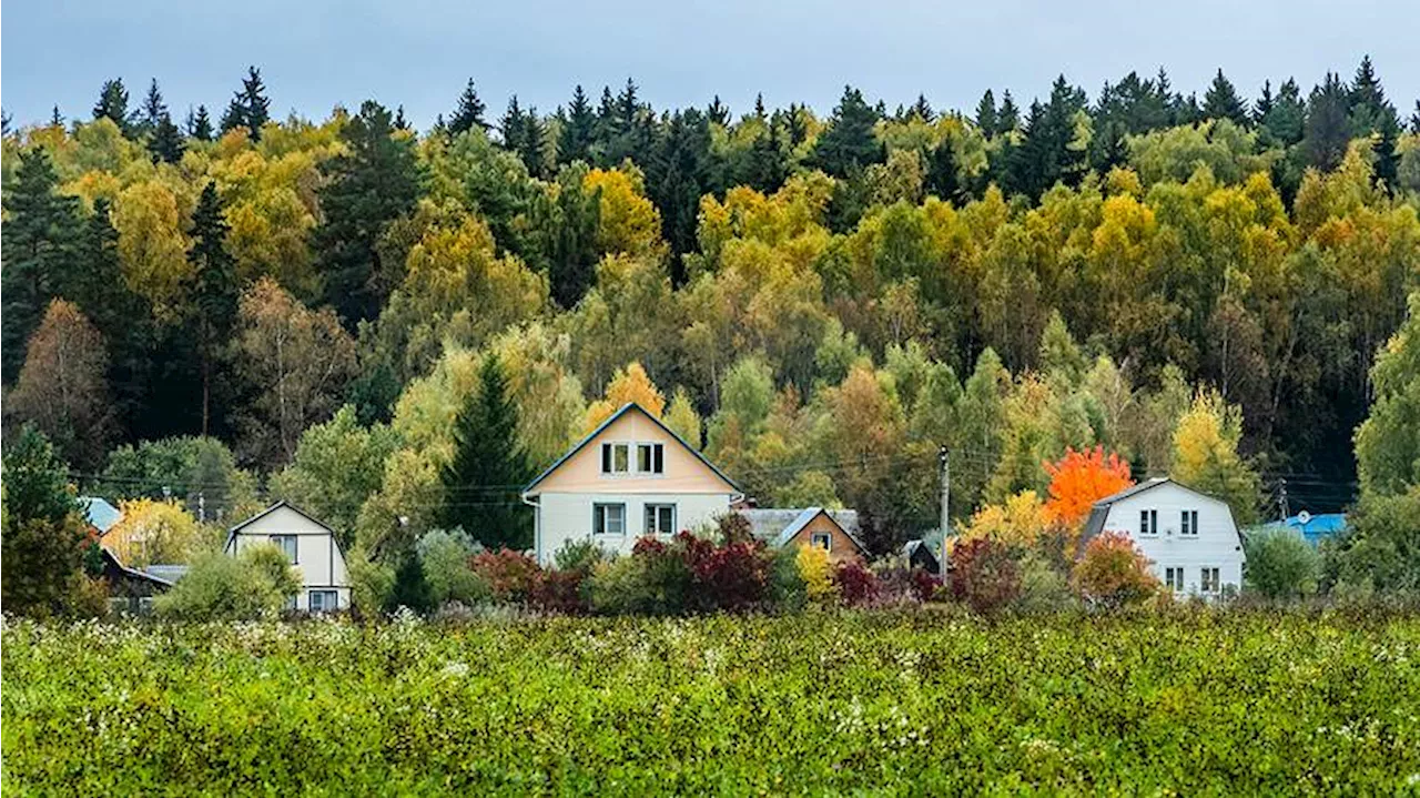 Госдума приняла закон о распространении «дачной амнистии» на хозпостройки