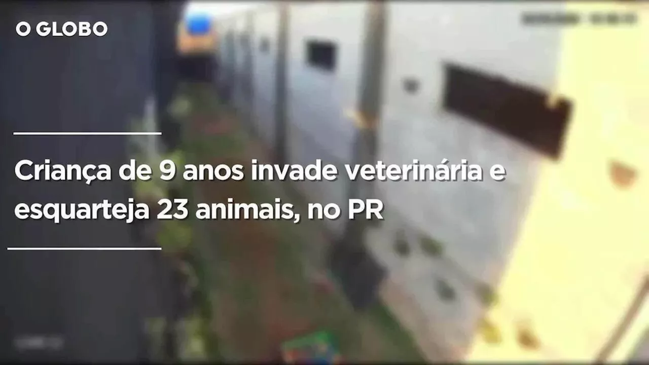 Criança de 9 anos invade clínica veterinária e esquarteja 23 animais; Câmera de segurança flagrou ação