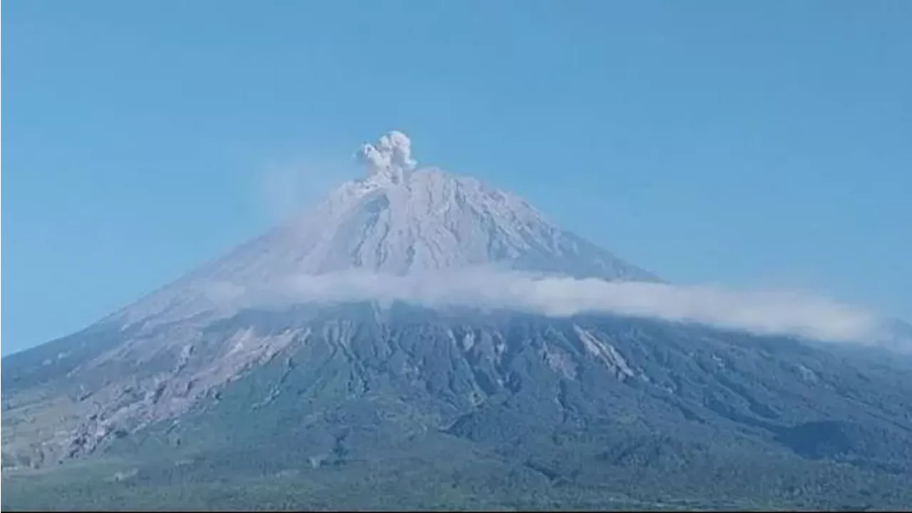 Gunung Semeru Kembali Erupsi Pagi Ini, Kolom Abu Capai 700 Meter, Warga Diimbau Waspada