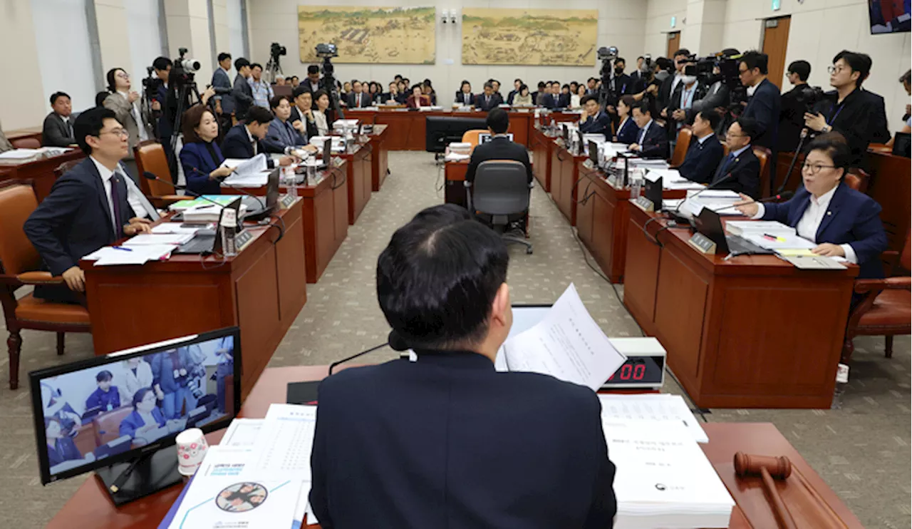 여당도 “나와서 해명해라” ‘김 여사 논문 대필’ 의혹 교수 2년째 ‘국감 불출석’