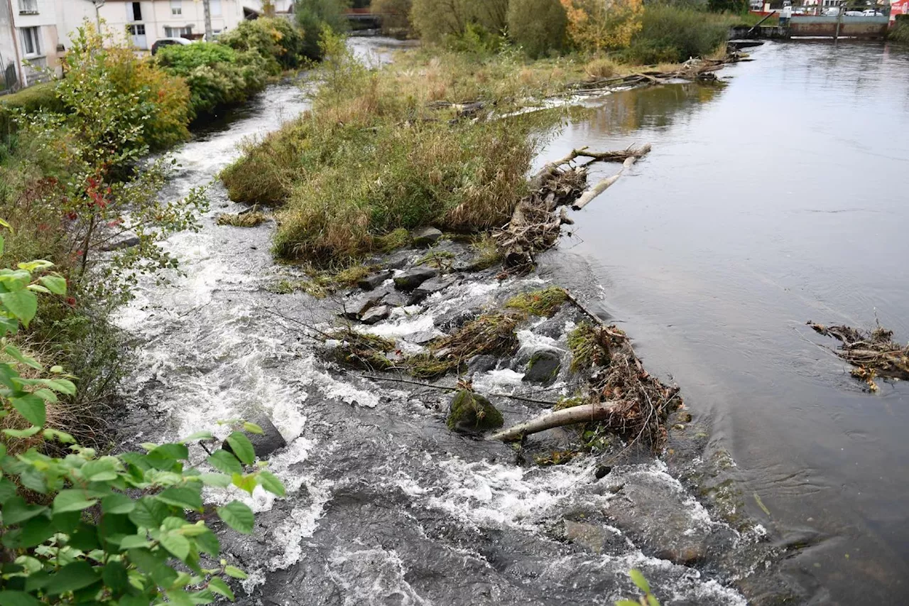 Pesticides: la pollution des eaux «très sous-estimée» faute de surveillance, selon Générations Futures