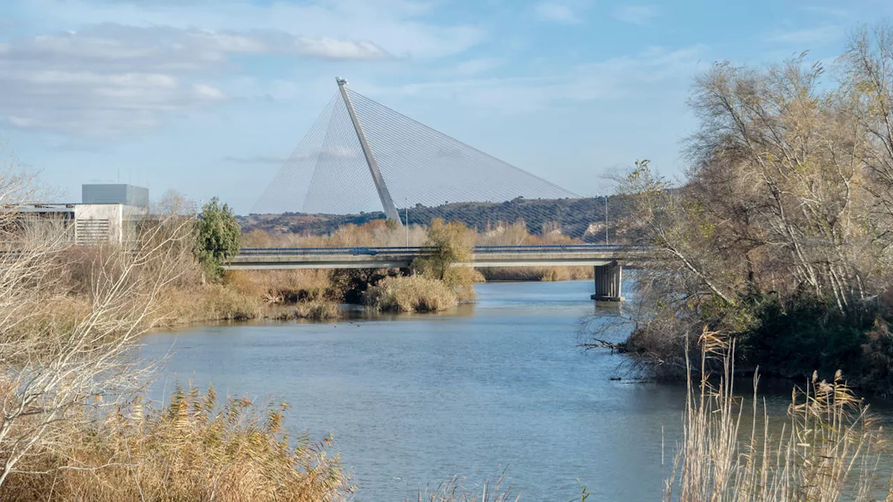 British man, 26, dies after falling from Spanish bridge ‘while creating content for social media’