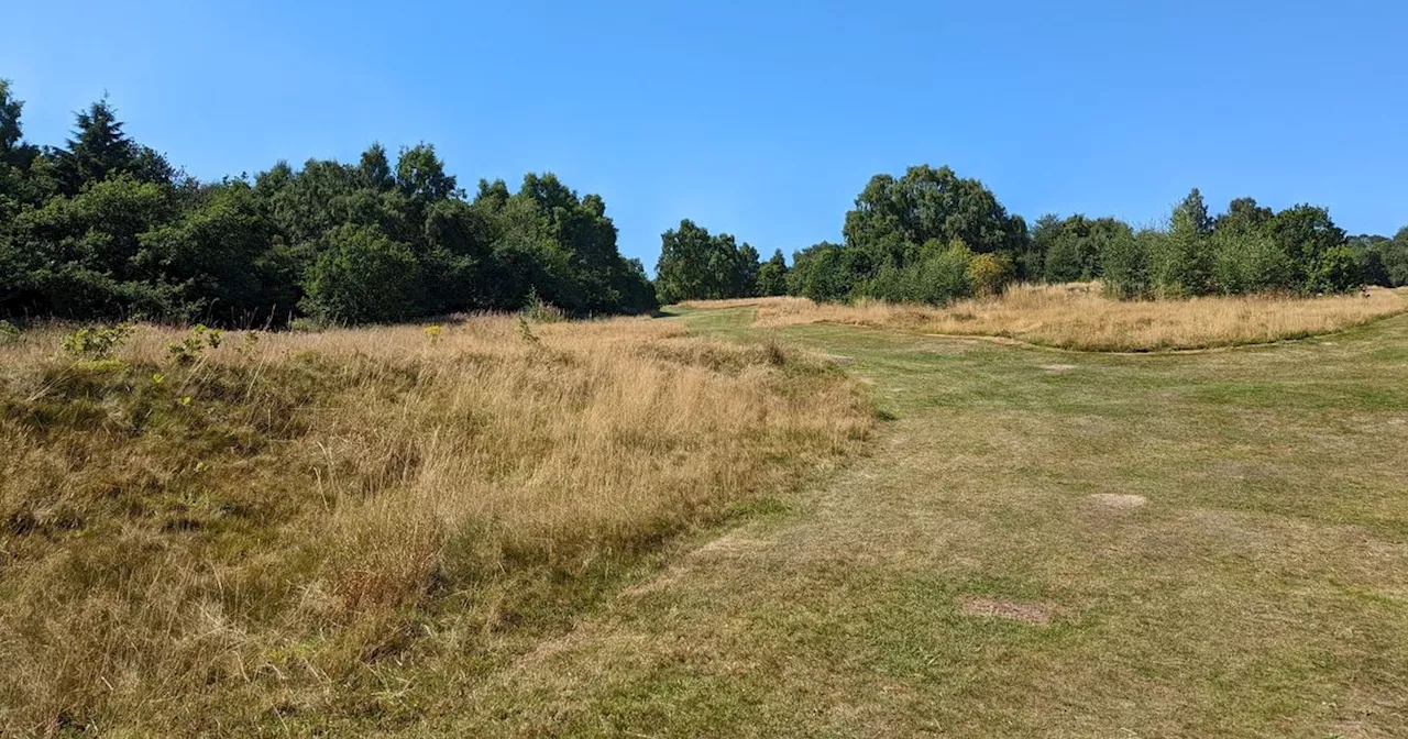 Former MP Calls Police After Finding 'Organs' in Leeds Park