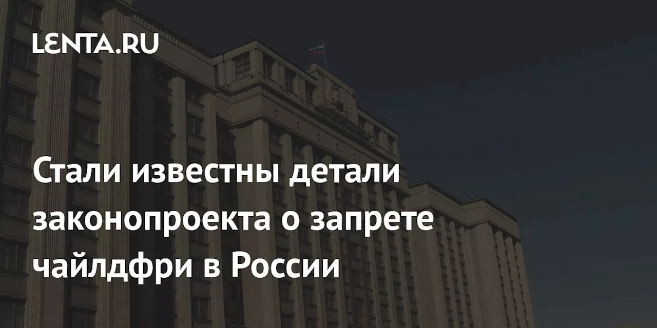 Комитет Госдумы поддержал законопроект о запрете пропаганды чайлдфри в России