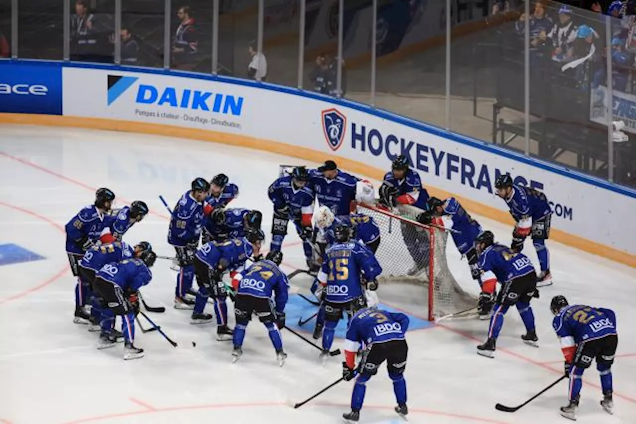 Angers poursuit sa course en tête en Ligue Magnus, Gap s'enfonce encore un peu plus