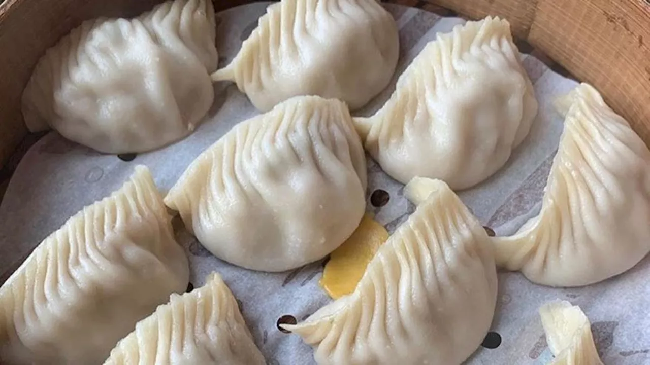 5 Resep Dimsum Lezat dan Mudah Dibuat, Sajikan Nikmatnya Hidangan Tiongkok di Dapur Anda