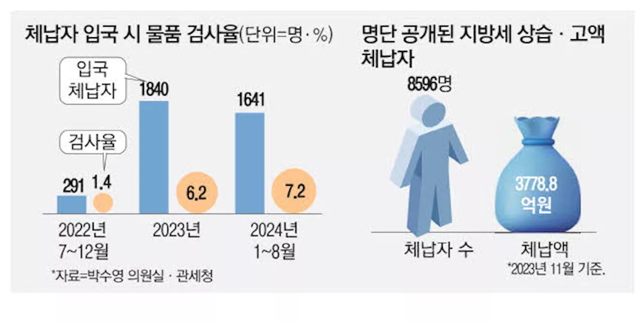 구찌 갖고 공항 통과하다 딱 걸린 체납자