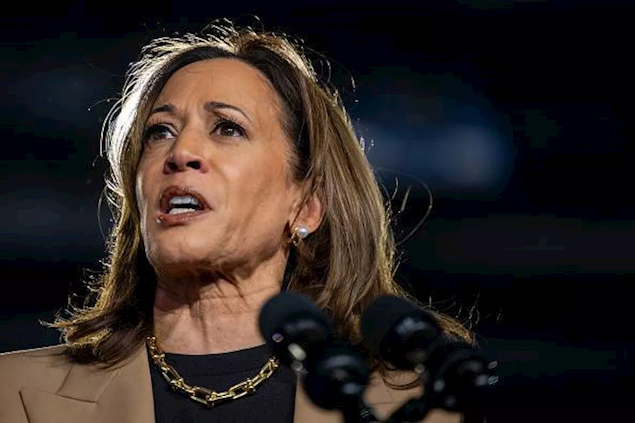 Kamala Harris gains momentum, but can she sustain it?