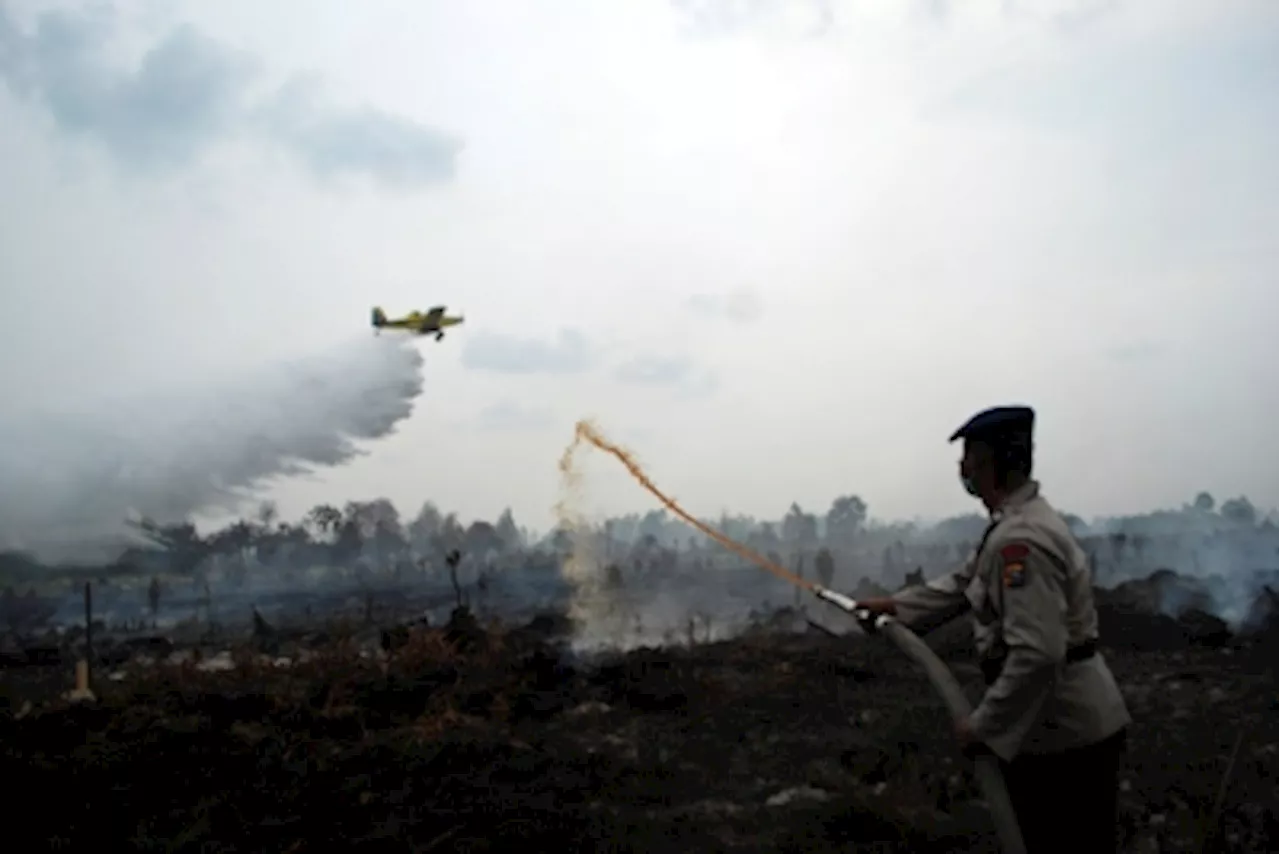 Report: Indonesia sees 60pc decrease in forest and land fires in 2024 so far