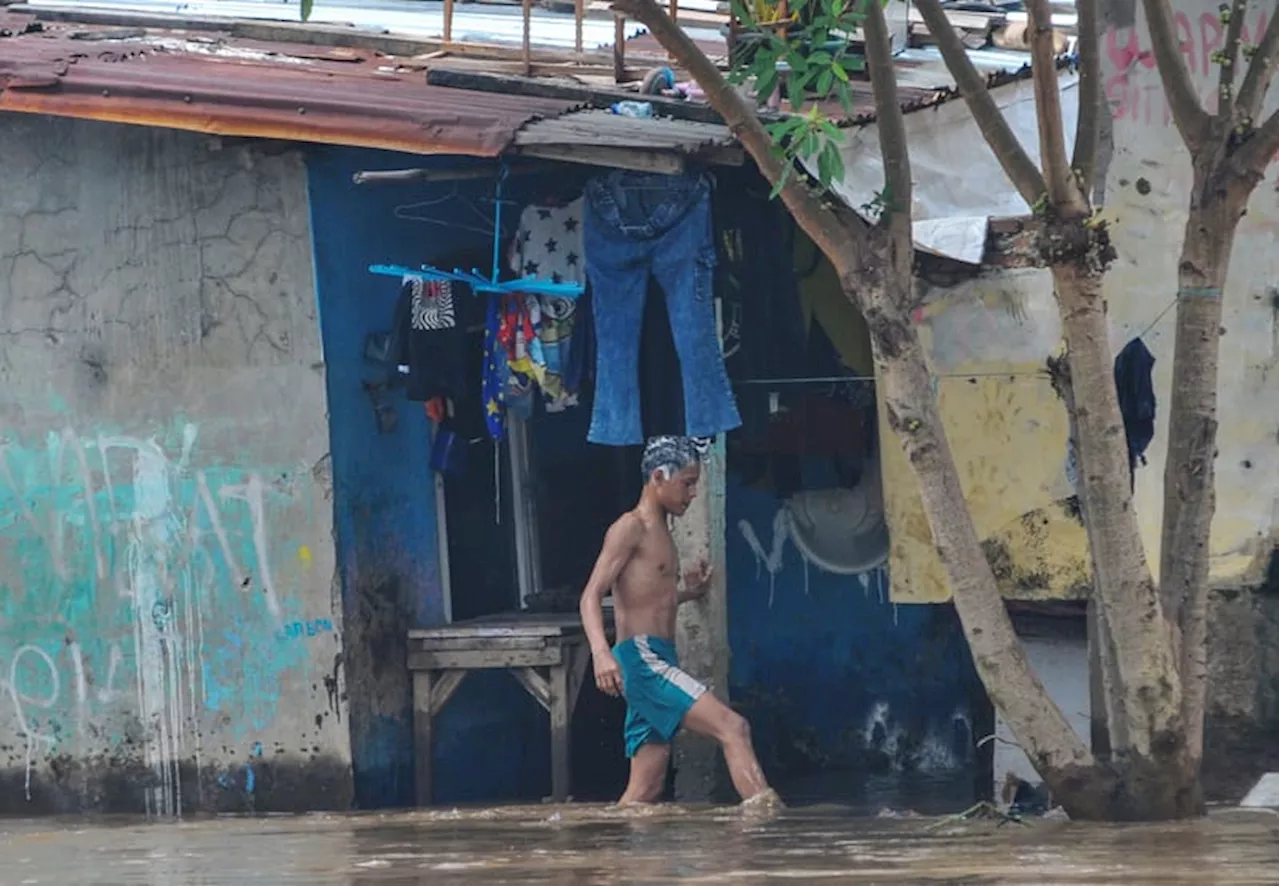 Data Terpadu Kesejahteraan Sosial Kemensos jadi Acuan KementerianLembaga