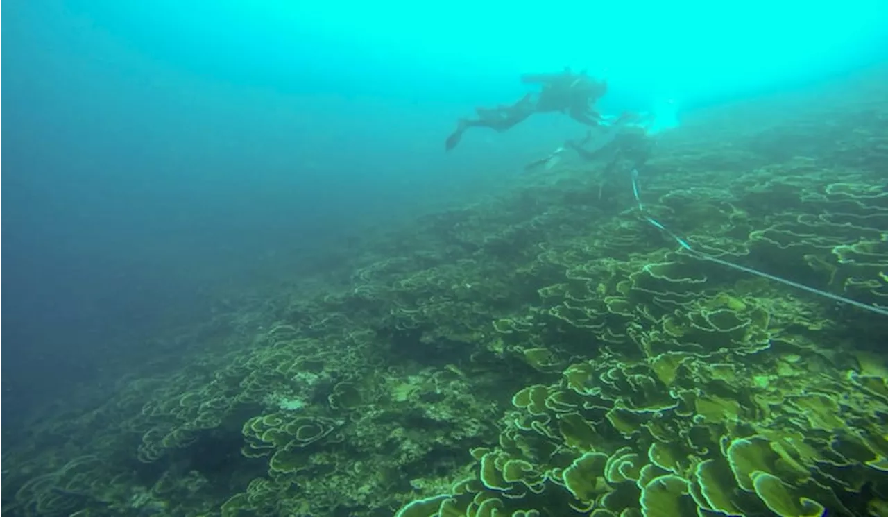 DKI Kembangkan Pengelolaan Ruang Laut Terpadu