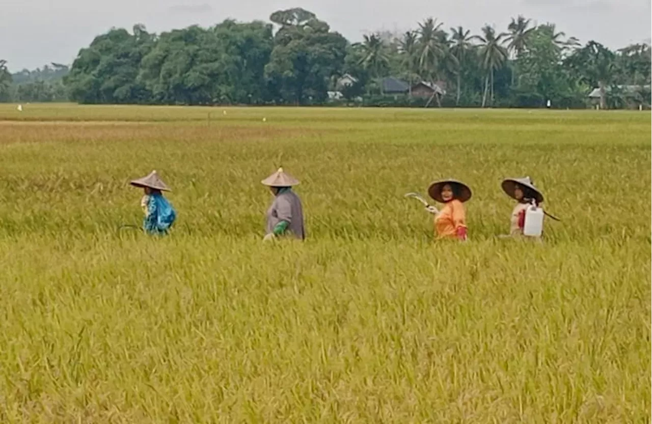 Memperingati Hari Perempuan Pedesaan Internasional Mengakui Peran Dan