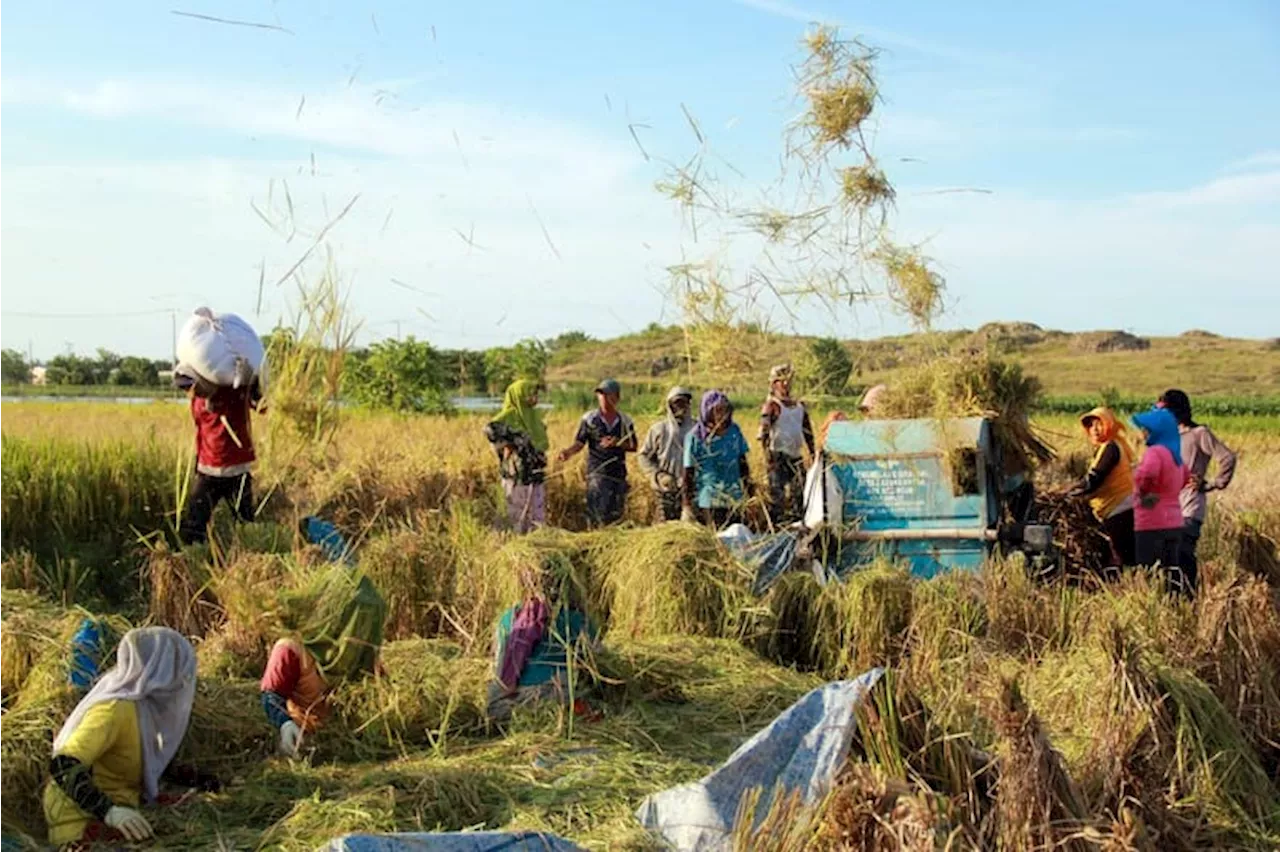 Program Cetak Sawah dan Optimasi Lahan Harus Bisa Angkat Kesejahteraan Petani