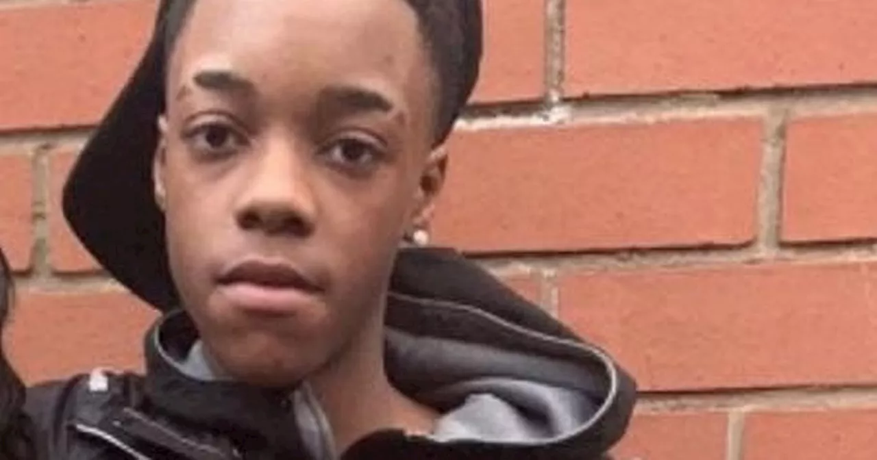 Teens chased Prince Walker-Ayeni ‘in a tight pack’ before alleged fatal stabbing