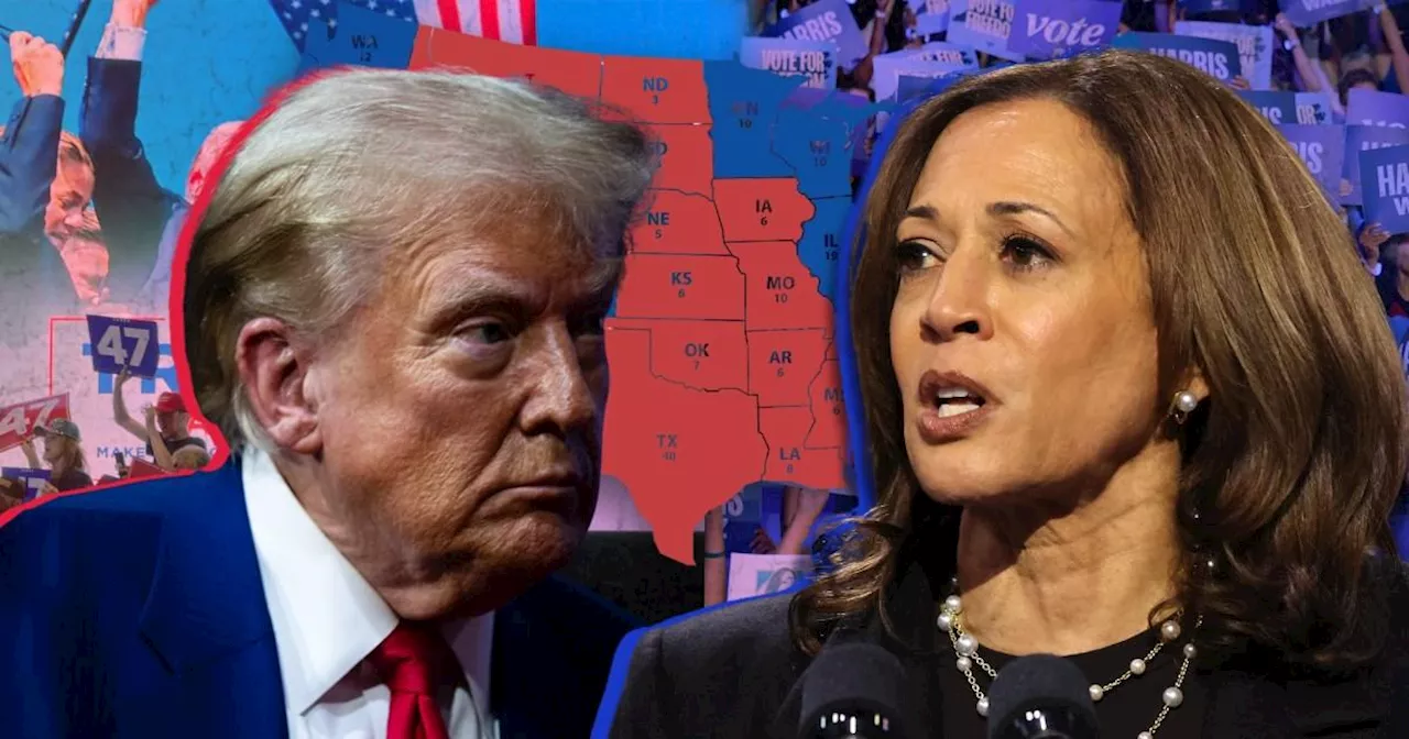 US election polls reveal how close Harris vs Trump is likely to be