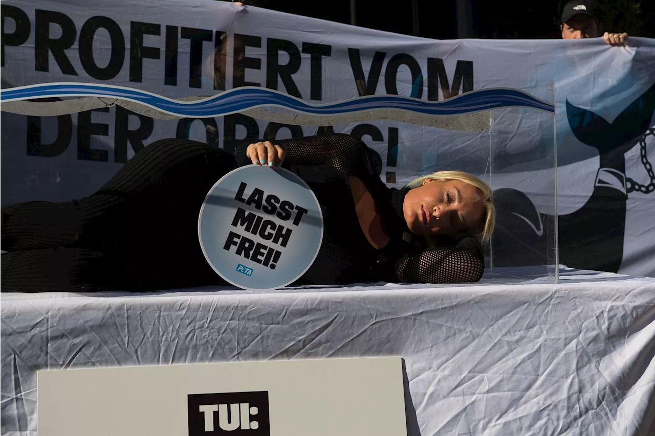 Sarah Connor und Peta protestieren gegen Haltung von Orcas