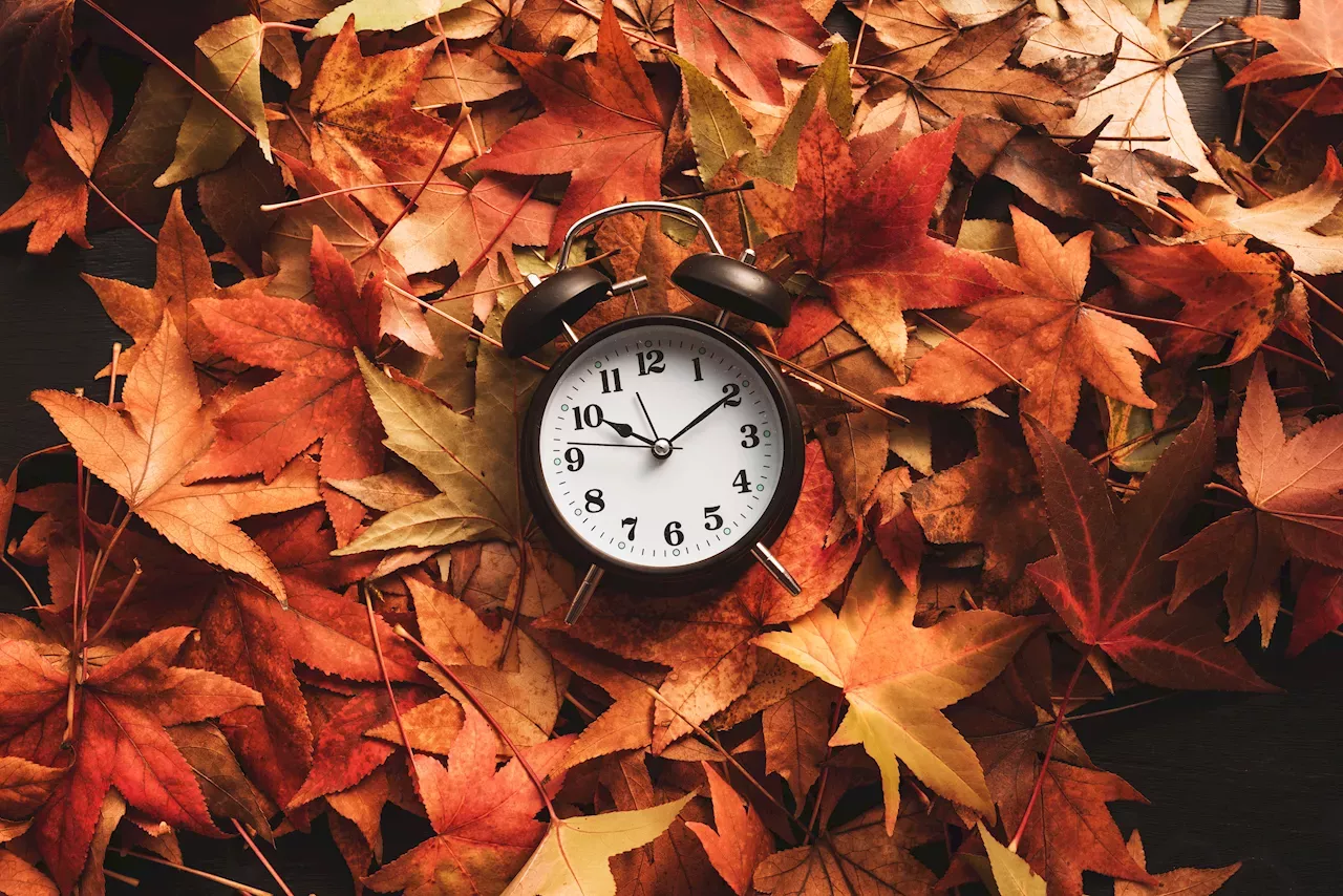 Daylight Savings 2024 Fall Enid Odelia