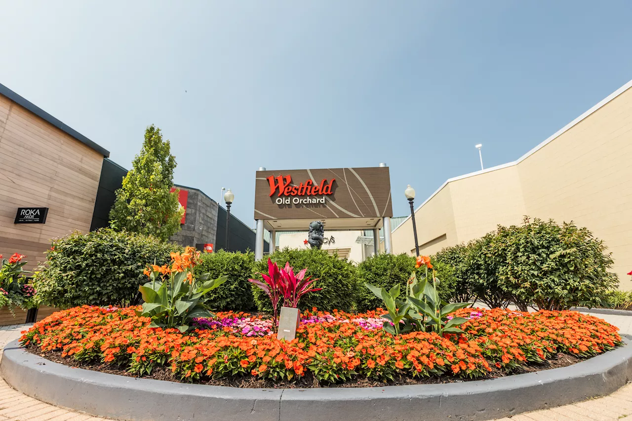 Huge part of Westfield Old Orchard Mall to be demolished, making way for apartments and more